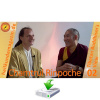 chamtrul-rinpoche-ueber-leiden-und-heilung
