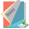 essay