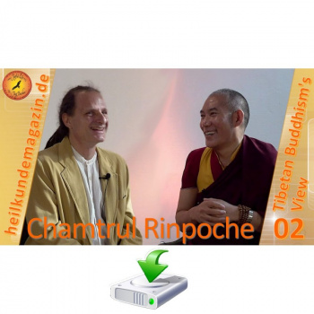 chamtrul-rinpoche-ueber-leiden-und-heilung