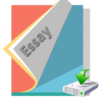 essay