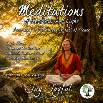 meditations_of_the_children_of_light_album_cover