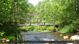Have a Break: 7 min. Biophilia Meditation at a Forest Stream